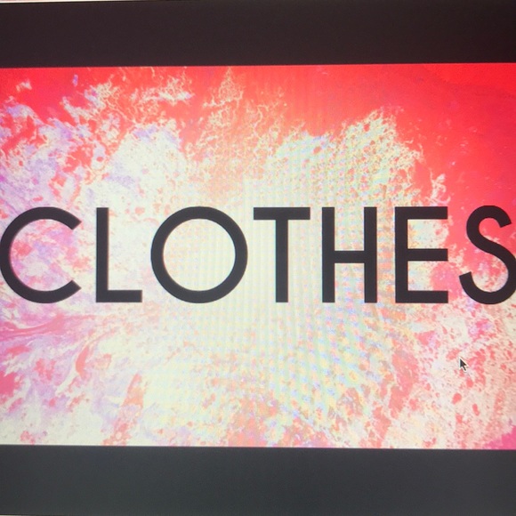 Meet your Poshers, Aryanna and Brianna - Picture 2 of 2